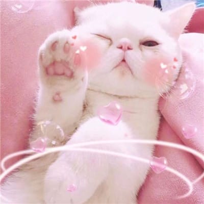 Dewi Lestari avatar